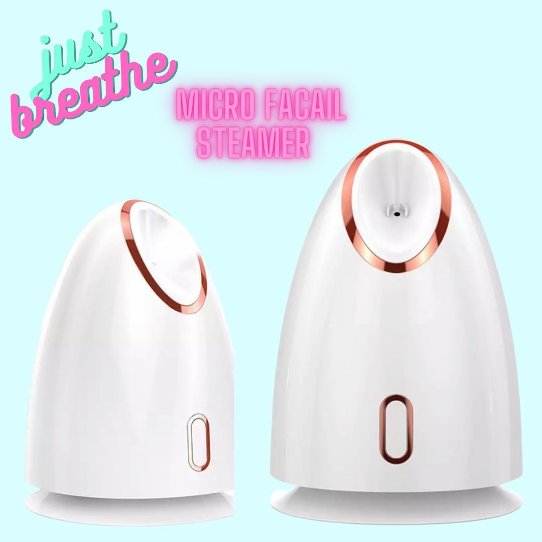 The Best Facial Steamer for You